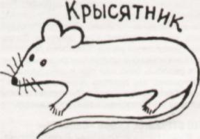A drawing of a rat and a word - Krisyatnik - rat nest